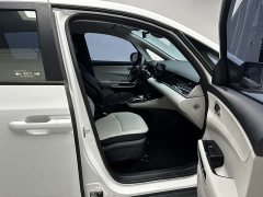 BYD D1 Edition - фото 10