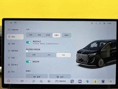Hongqi HQ9 PHEV 2.0T AWDLuxury Edition - фото 20