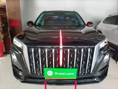 Hongqi HS5 2.0T Pro Edition - фото 3