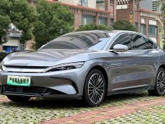 BYD EV Edition 506KMPremium Version - фото 1