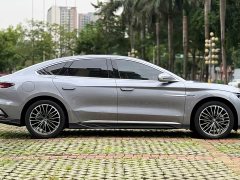BYD EV Edition 506KMPremium Version - фото 18