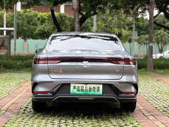 BYD EV Edition 506KMPremium Version - фото 20