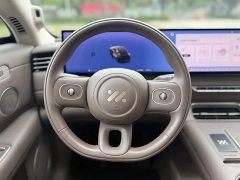 LS6 EREV 66 Max - фото 14