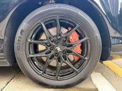 LS6 EREV 66 Max - фото 17