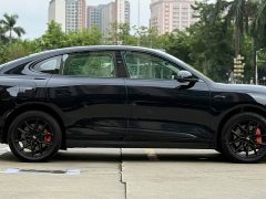LS6 EREV 66 Max - фото 4