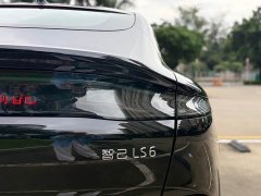LS6 EREV 66 Max - фото 5