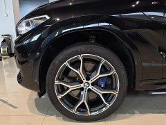 BMW X6 xDrive40i Deluxe Version M - фото 9
