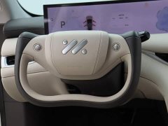 LS6 Max Long Range Edition - фото 13