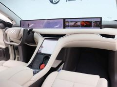 LS6 Max Long Range Edition - фото 17