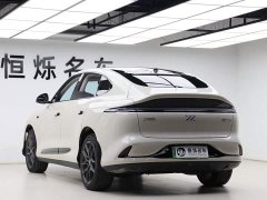 LS6 Max Long Range Edition - фото 18
