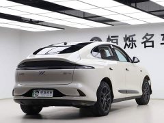 LS6 Max Long Range Edition - фото 20