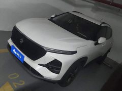 Baojun RS-3 1.5L 24 Version - фото 1