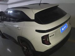 Baojun RS-3 1.5L 24 Version - фото 3