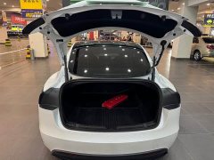 Tesla Model 3 Edition - фото 14