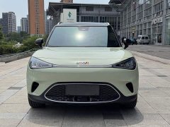 smart#1 Pulse Edition - фото 2