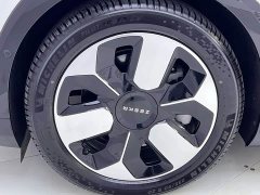 Zeekr MIX Smart Drive Edition - фото 13