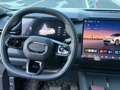 Lynk & Co 08 EM-P 160Long RangeMax - фото 11