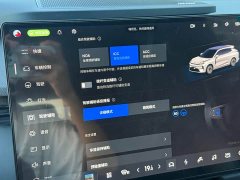 Lynk & Co 08 EM-P 160Long RangeMax - фото 14