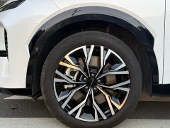 Lynk & Co 08 EM-P 160Long RangeMax - фото 17