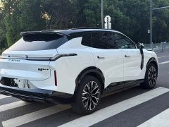 Lynk & Co 08 EM-P 160Long RangeMax - фото 4