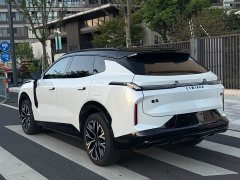Lynk & Co 08 EM-P 160Long RangeMax - фото 6