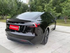 Tesla Model 3 Edition - фото 8