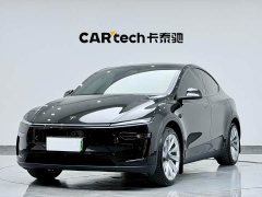 Tesla Model Y Long Range Edition - фото 1
