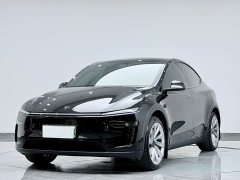 Tesla Model Y Long Range Edition - фото 10