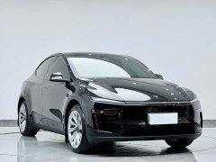 Tesla Model Y Long Range Edition - фото 11