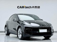 Tesla Model Y Long Range Edition - фото 2