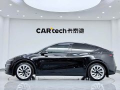 Tesla Model Y Long Range Edition - фото 4