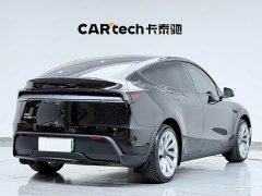Tesla Model Y Long Range Edition - фото 8