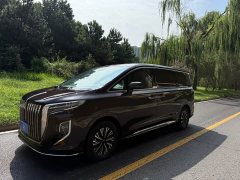 Hongqi HQ9 PHEV 2.0T AWDBusiness Edition - фото 1