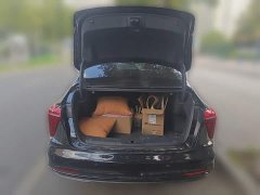 Hongqi H5 PHEV 170 Edition - фото 15