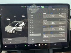 Tesla Model Y standard range rear-wheel drive version - фото 12