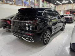 Hongqi HS5 2.0T AWDPro Edition - фото 9