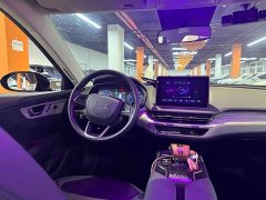 Hongqi E-QM5 560km PLUS - фото 19