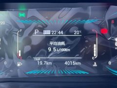 Jetour X70 1.5T DCTPRO Edition 7 - фото 18