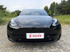 Tesla Model Y Edition - фото 2