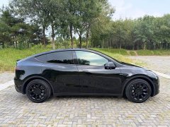 Tesla Model Y Edition - фото 6