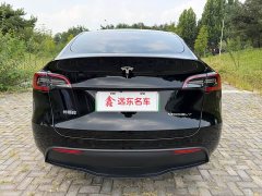 Tesla Model Y Edition - фото 7
