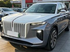 Hongqi E-HS9 510km Edition - фото 1