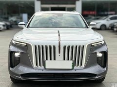 Hongqi E-HS9 510km Edition - фото 2