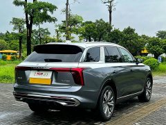 Hongqi E-HS9 510km Edition - фото 4