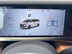 Hongqi HQ9 PHEV 2.0T AWDLuxury Edition - фото 13
