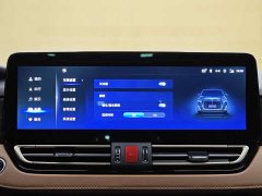 Hongqi HQ9 2.0T Edition - фото 15