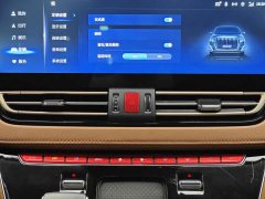 Hongqi HQ9 2.0T Edition - фото 16