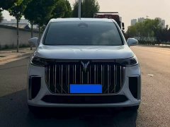 Voyah PHEV Ultra Long RangeFlagship Edition - фото 2