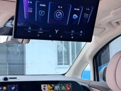 Voyah PHEV Ultra Long RangeFlagship Edition - фото 6