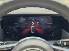 Hongqi HS7 PHEV 2.0T PHEV AWD Edition 6 - фото 13